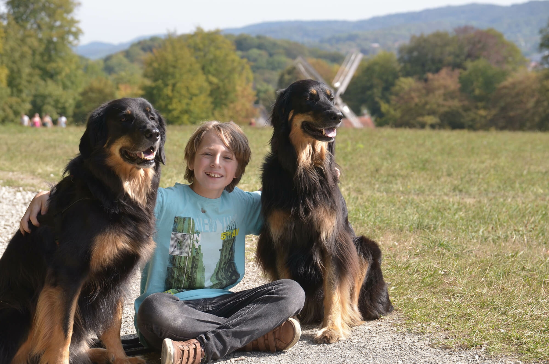 Kinder- und Jugendhilfe: Ein lächelnder Junge sitzt zwischen zwei Hunden