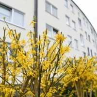 Die Rückseite vom Haus im Forsthauswinkel in Gelsenkirchen von Bethel.regional für Menschen in besonderen sozialen Schwierigkeiten/Wohnungslosenhilfe