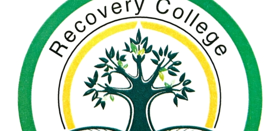 Logo des Recovery College Bielefeld Das Logo des Recovery College Bielefeld zeigt einen Baum mit Wurzeln in einem Kreis.